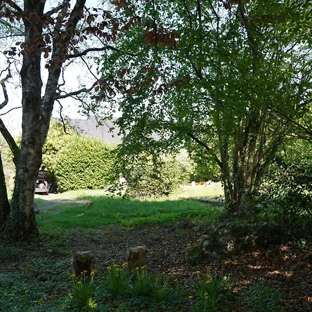 Awa Source De Vie טהאו